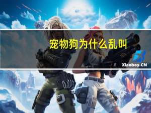 宠物狗为什么乱叫