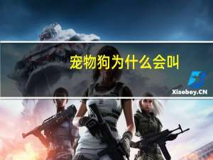 宠物狗为什么会叫