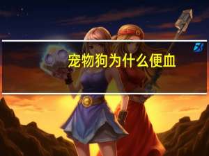 宠物狗为什么便血