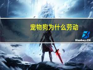 宠物狗为什么劳动