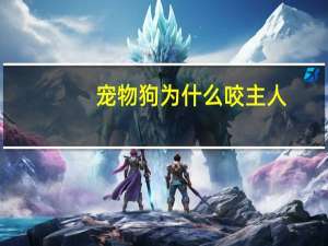 宠物狗为什么咬主人