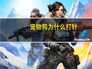 宠物狗为什么打针