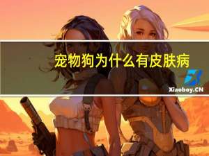 宠物狗为什么有皮肤病