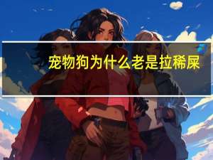 宠物狗为什么老是拉稀屎
