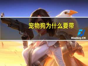 宠物狗为什么要带