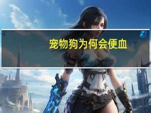 宠物狗为何会便血