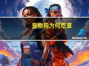 宠物狗为何吃草