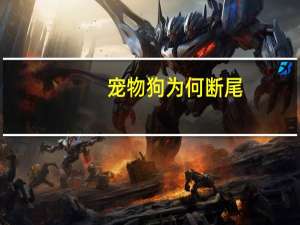 宠物狗为何断尾