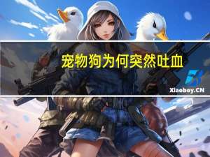 宠物狗为何突然吐血