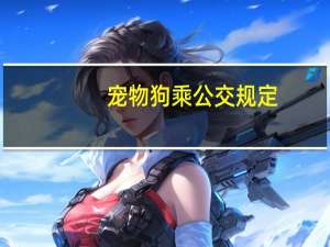 宠物狗乘公交规定