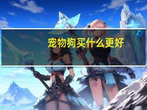 宠物狗买什么更好