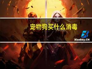 宠物狗买什么消毒