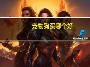 宠物狗买哪个好