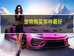 宠物狗买那种最好