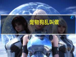 宠物狗乱叫做