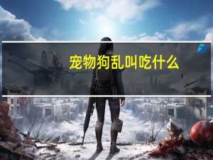 宠物狗乱叫吃什么