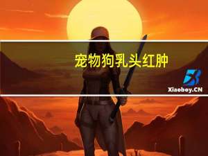 宠物狗乳头红肿