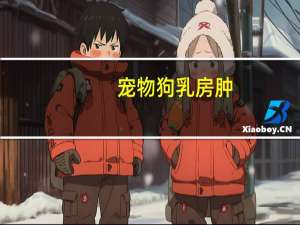 宠物狗乳房肿