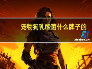 宠物狗乳酸菌什么牌子的