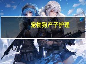 宠物狗产子护理