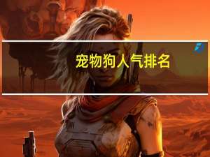 宠物狗人气排名