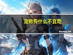 宠物狗什么不宜吃