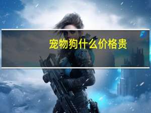 宠物狗什么价格贵