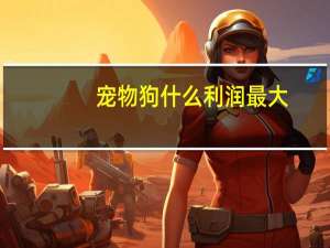 宠物狗什么利润最大