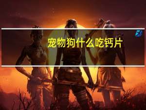 宠物狗什么吃钙片