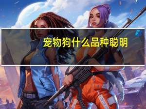 宠物狗什么品种聪明