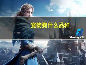 宠物狗什么品种