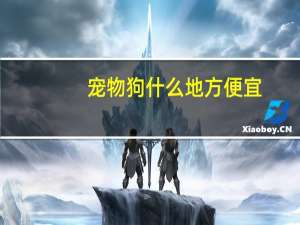 宠物狗什么地方便宜