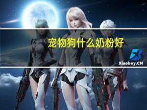 宠物狗什么奶粉好