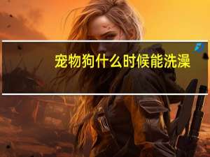 宠物狗什么时候能洗澡