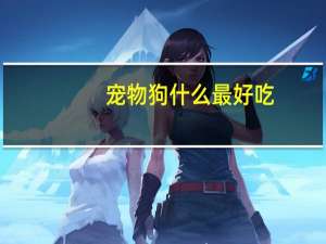 宠物狗什么最好吃