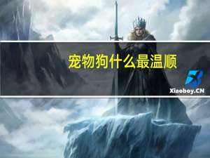 宠物狗什么最温顺
