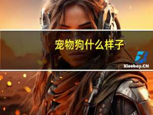 宠物狗什么样子