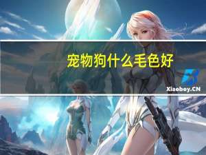 宠物狗什么毛色好