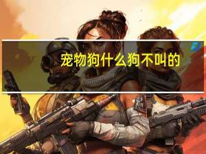 宠物狗什么狗不叫的