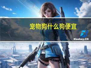 宠物狗什么狗便宜