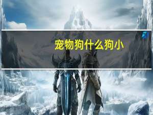 宠物狗什么狗小