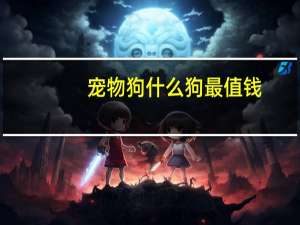 宠物狗什么狗最值钱