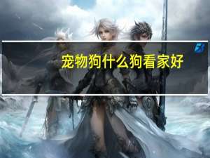 宠物狗什么狗看家好