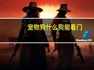 宠物狗什么狗能看门