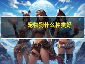 宠物狗什么种类好