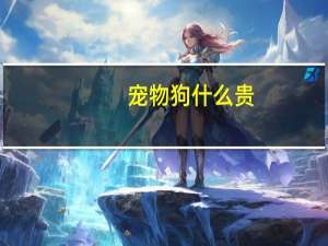 宠物狗什么贵