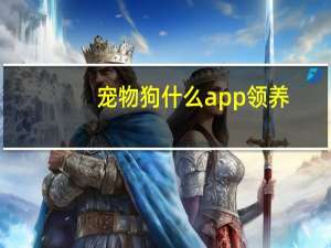 宠物狗什么app领养