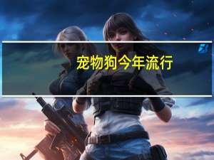 宠物狗今年流行