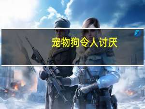 宠物狗令人讨厌