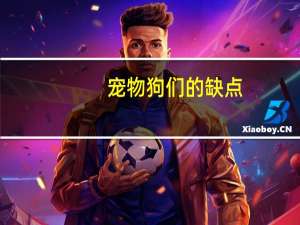 宠物狗们的缺点